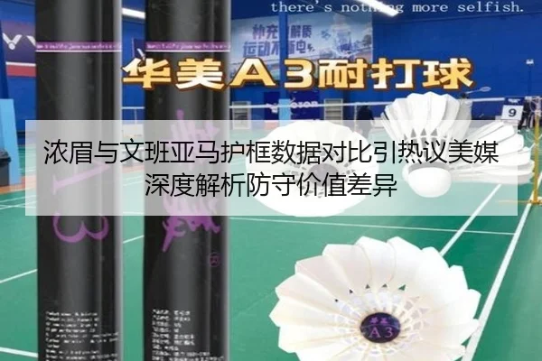 浓眉与文班亚马护框数据对比引热议美媒深度解析防守价值差异